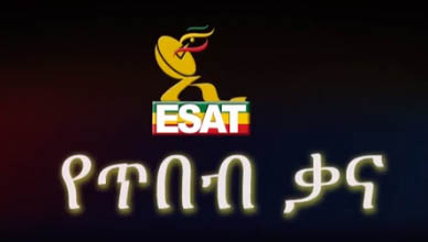 The Ethiopian Satellite Television And Radio (ESAT) – No. 1 Ethiopian ...