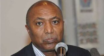 Ethiopia: Bereket Simon under investigation for suspected corruption