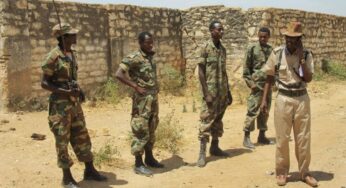 Hundreds of Ethiopian troops cross into Somalia