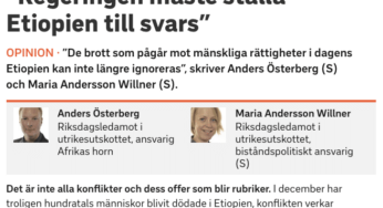 Swedish MPs demand their gov’t to hold Ethiopian regime accountable for human rights violations