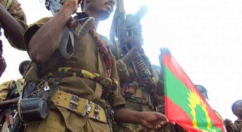 Ethiopia: Gov’t calls on OLF to disarm combatants