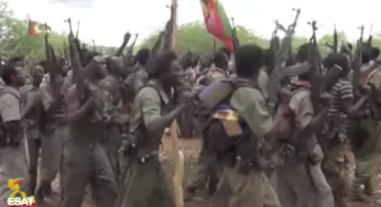 Ethiopia: Germany to support demobilization of opposition soldiers