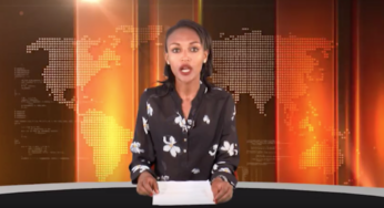 ESAT Addis Abeba – Amharic News Nov 02, 2018