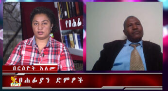 ESAT Yetsehafian Dimtsoch Reeyot with Alemneh Agajje on “The Protection of Local Minority Rights’ – Nov 08, 2018