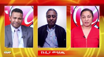 ESAT Tikuret: Reeyot with Dr Aberham and Ermias on ODP’s Statement – March 2019 (Part 2)