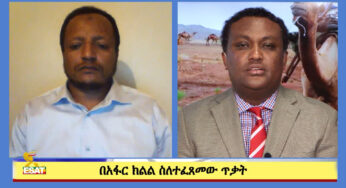 ESAT Tikuret በአፋር ክልል ስለተፈጸመው ጥቃት ከአቶ ገአስ አህመድ ጋር የተደረገ ቆይታ Oct 2019