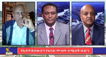 ESAT Tikuret የግብጻውያንን ሰልፍ ደግፈው ወጡ ከተባሉ ኢትዮጵያውያን ጋር የተደርገ ቆይታ March 2020