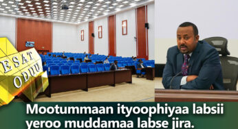 ESAT Oduu Afaan Oromoo Roobii 08 April 2020