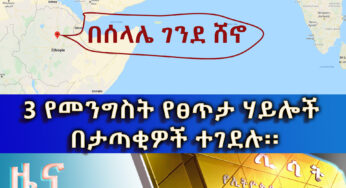 ESAT Amharic Day Time News Wednesday 8, April 2020