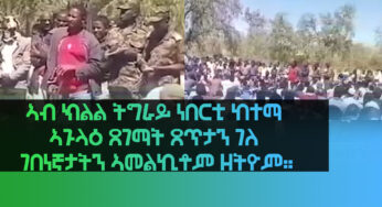 Ethiopia – ESAT Tigrigna News Mon 08 Feb 2021